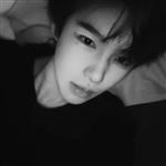 卿弦季鸢 Profile Picture