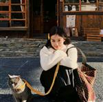 倦澈 Profile Picture