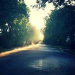 又一个冬 Profile Picture