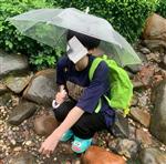 颜洛殇 Profile Picture