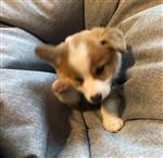 别打了我是酱油 Profile Picture