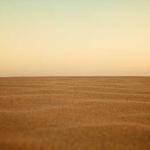 鲸落海湾 Profile Picture