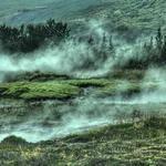 战场英雄袍 Profile Picture