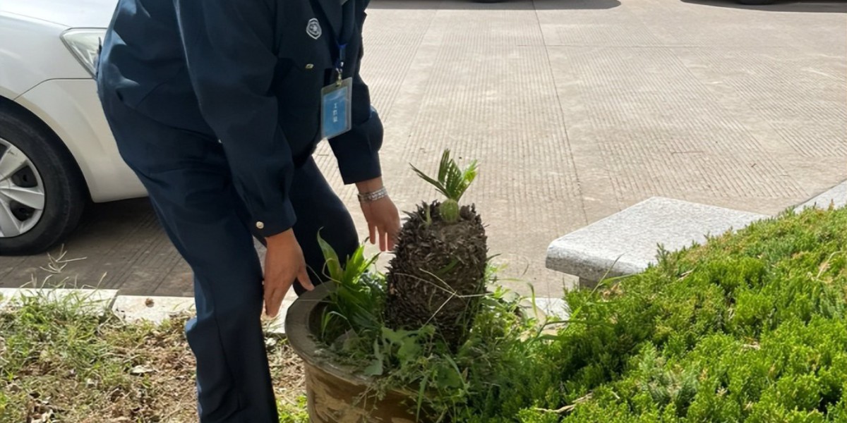 因“捡别人淘汰的花养”，北京一保安火了，网友：给大叔涨工资