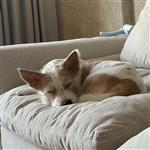 迷人的侩美丽的扯 profile picture