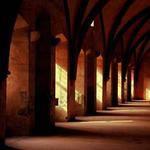 无敌宝宝男m. Profile Picture