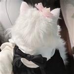 奶思兔米鱿 Profile Picture