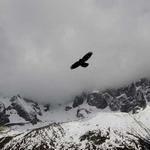 繁华流年印 profile picture