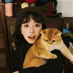 倚栏听风 Profile Picture