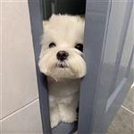 深夜与你 Profile Picture