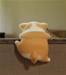 不正经草莓 Profile Picture