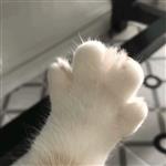 刪滁↘離莂 Profile Picture