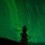 珠帘湿罗幕 Profile Picture