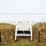 δ尐儍猪Θ Profile Picture