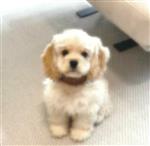 地摊式de爱 Profile Picture