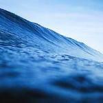 狼行天下 Profile Picture