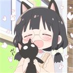 孤傲白狼 Profile Picture