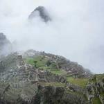 惹不起的'女霸 Profile Picture