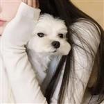 熊扑 Profile Picture