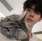 笑中刀 Profile Picture