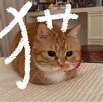 ||丶问鼎★青龙丶 Profile Picture