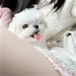 青青草原我最狂 Profile Picture