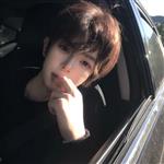 几叶到寒 Profile Picture