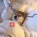 苏珞漓 Profile Picture