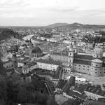 樱梦韵 Profile Picture