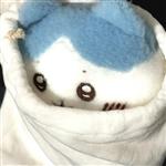 紫陌蝶 Profile Picture