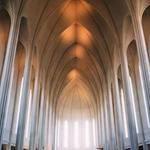 一杯浊酒笑风尘 Profile Picture