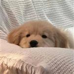 不交电费瞎发啥光 Profile Picture