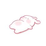 没有凑合 Profile Picture