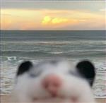 Maud Profile Picture