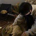 瑪徳琳娜 Profile Picture