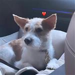 后悔当初没选你 Profile Picture