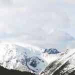 笑你像狗 Profile Picture