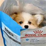 不⁴小哭包 Profile Picture