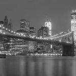 帅裂苍穹 Profile Picture