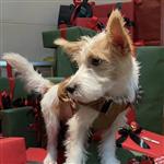 一个人的放肆 Profile Picture