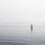 战无不胜 Profile Picture