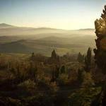 雨珍 Profile Picture