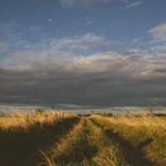 战磕女王 Profile Picture