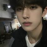 拦精灵 Profile Picture