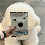 最美不过初见 Profile Picture