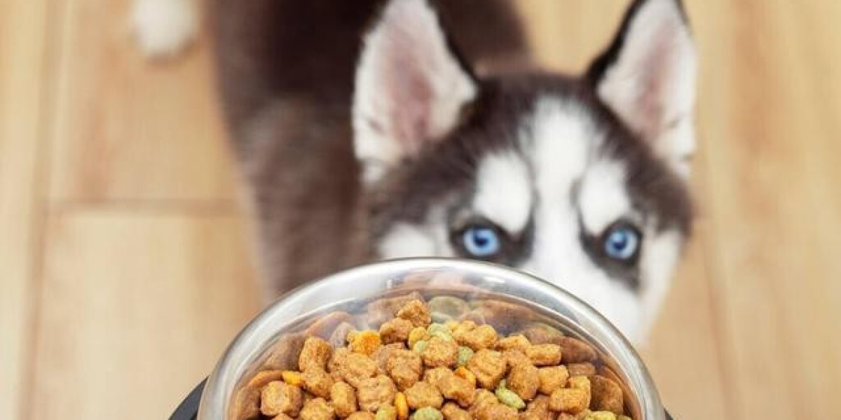 狗狗可以吃哪些人类食物?