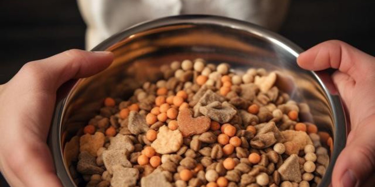 如何正确给你的宠物狗喂食?