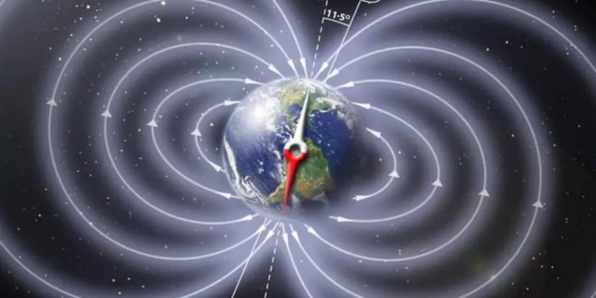 果蝇被送到太空后会怎么样? 航天员说：生龙活虎