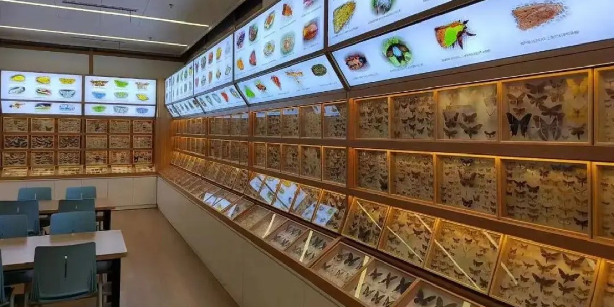 重大突破!SCI权威期刊发表!上海13岁“小孩哥”发现蛾类新物种