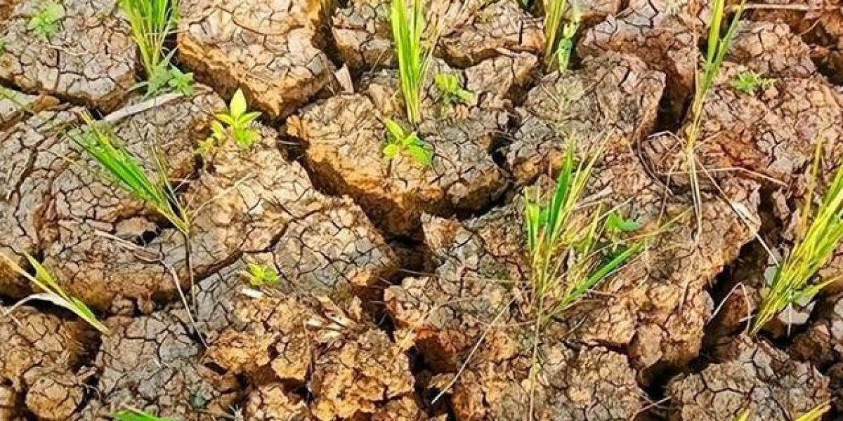 2026年中国天气将迎三大转变：高温更久、暴雨更猛、灾害叠加?